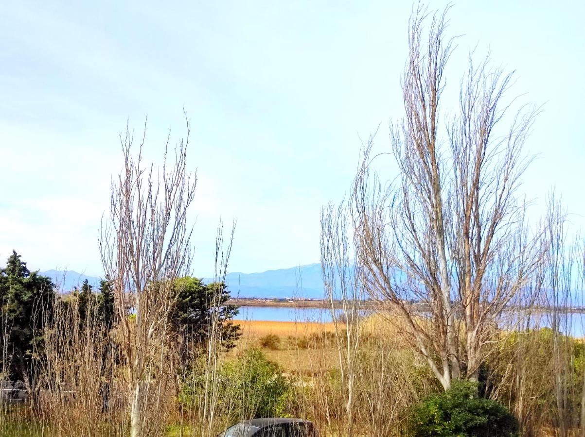 T2 Climatise A 5 Min De La Plage 'Calme & Confort' - 5 Canet-en-Roussillon Exterior foto